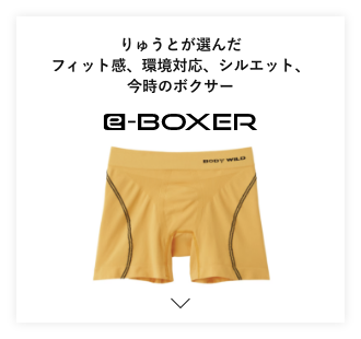 e-BOXER