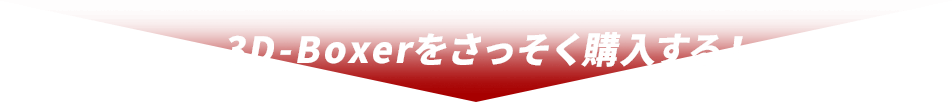 3D-Boxerをさっそく購入する！