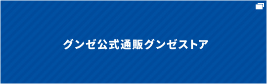 グンゼ公式通販グンゼストア ご購入はこちら