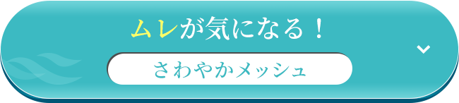 ムレが気になる！さわやかメッシュ