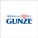 GUNZE online store