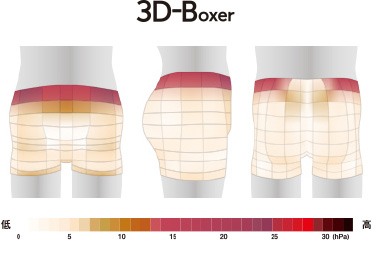 3D-Boxer