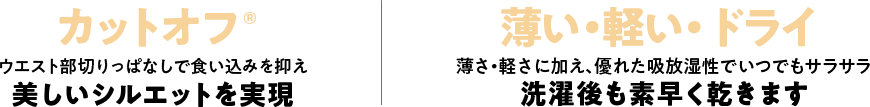 アドバンス・ペチコート概要