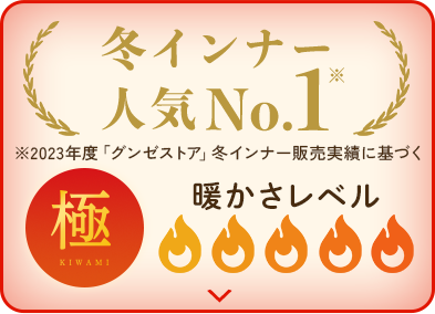 ーBLACK FRIDAY特別企画ー人気のあったかインナー上下セットで10