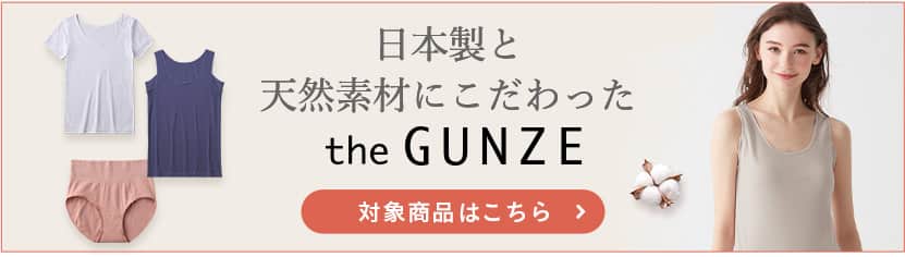 the GUNZE