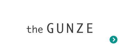 the GUNZE