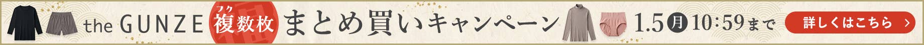 一年の始まりに気分一新！【theGUNZEまとめ買いキャンペーン】