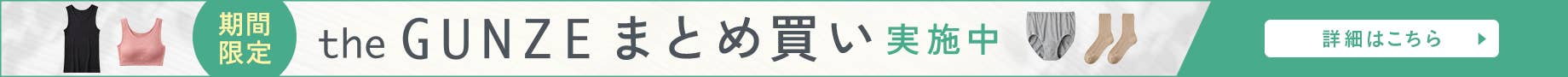 期間限定【theGUNZEまとめ買い】実施中