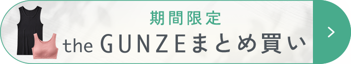 theGUNZEまとめ買い