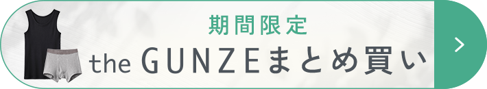 theGUNZEまとめ買い