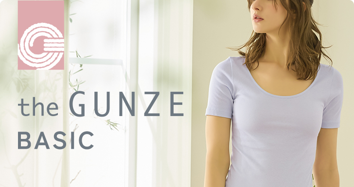 the GUNZE BASIC
