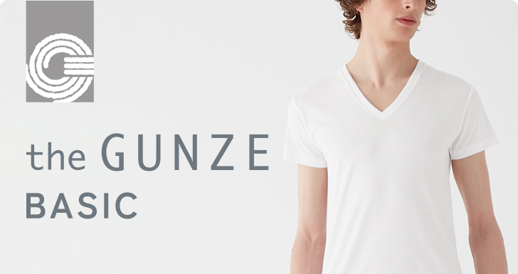 the GUNZE BASIC