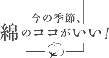 今の季節、綿のココがいい！