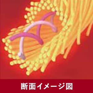 やみつき柔らか ポイント1