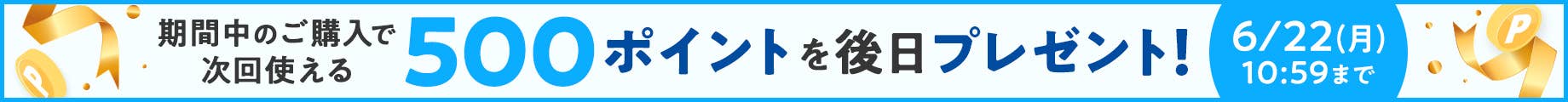 500ポイントプレゼント