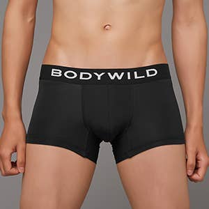 廃盤　BODYWILD ローライズ　ボクサーパンツ　サイズM BODY WILD/ボディワイルド ローライズボクサーパンツ 吸汗速乾