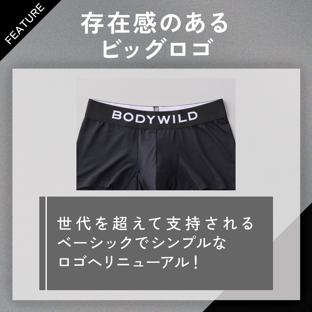 BW2997P 特徴