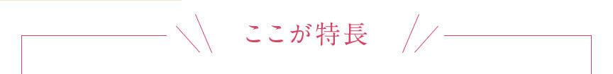 ここが特長