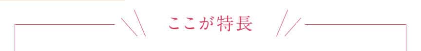 ここが特長