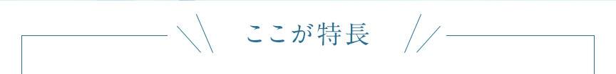 ここが特長