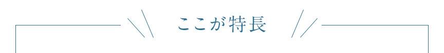 ここが特長