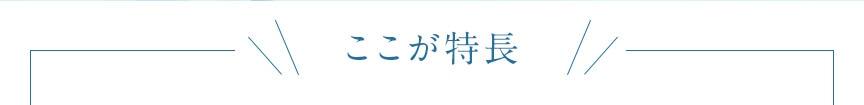 ここが特長