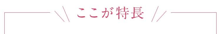 ここが特長