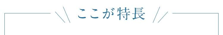 ここが特長