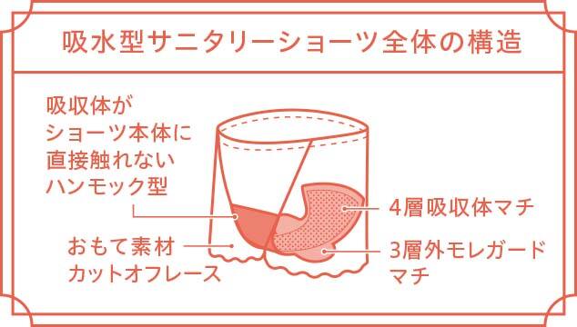写真：給水サニタリーショーツ全体の構造
