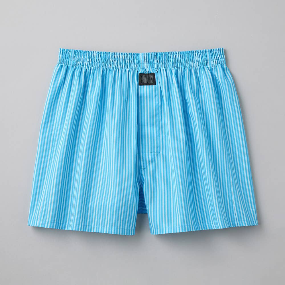 【直営店限定】トランクス（前あき） BW909EC ストライプ　ライトブルー