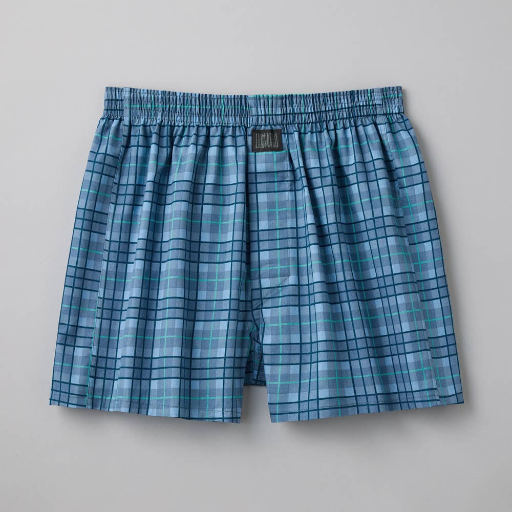 【直営店限定】トランクス（前あき） BW909EC チェック　サックス