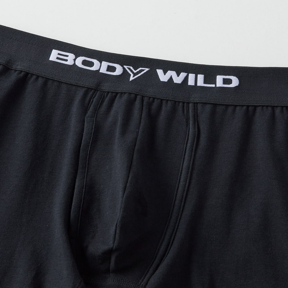 HOM＆Lanvin en Bleu＆BODY WILD ボクサー Ｌ 5枚madeinjapan 