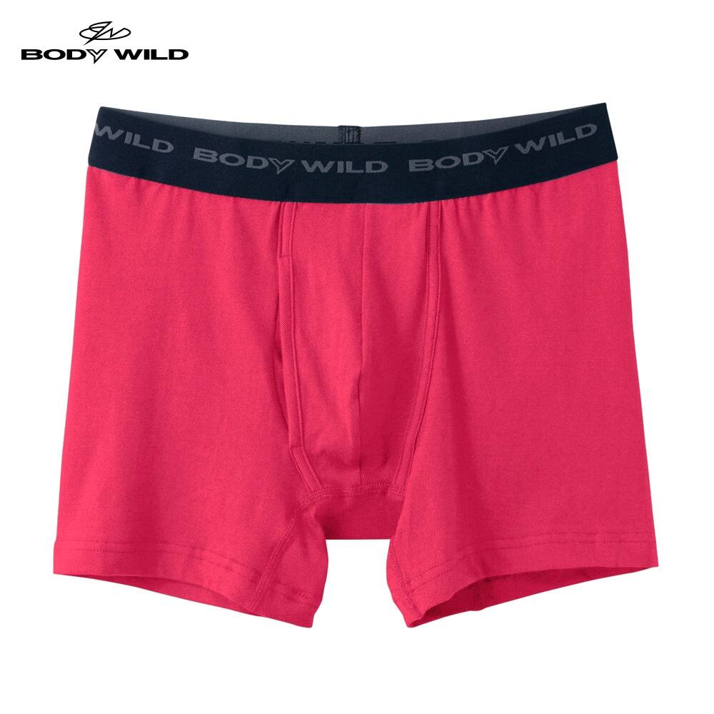 ＜GUNZE グンゼ＞ 10%OFF！BODY WILD(ボディワイルド) ボクサーパンツ（前あき）（メンズ）【SALE】 サックス M