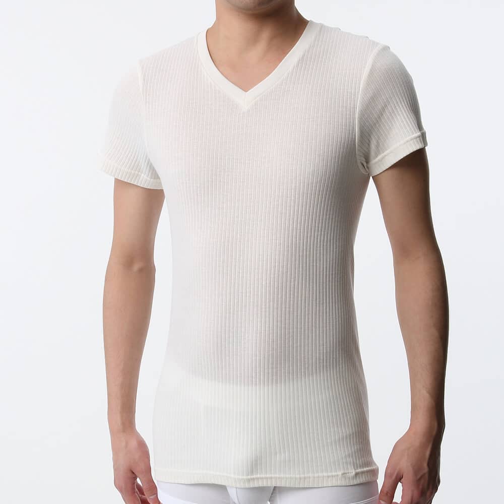プレミアムライン Vネックtシャツ v首 メンズ Sale M オフホワイト メンズ プレミアムライン Vネックtシャツ v首 メンズ Sale M オフホワイト メンズ