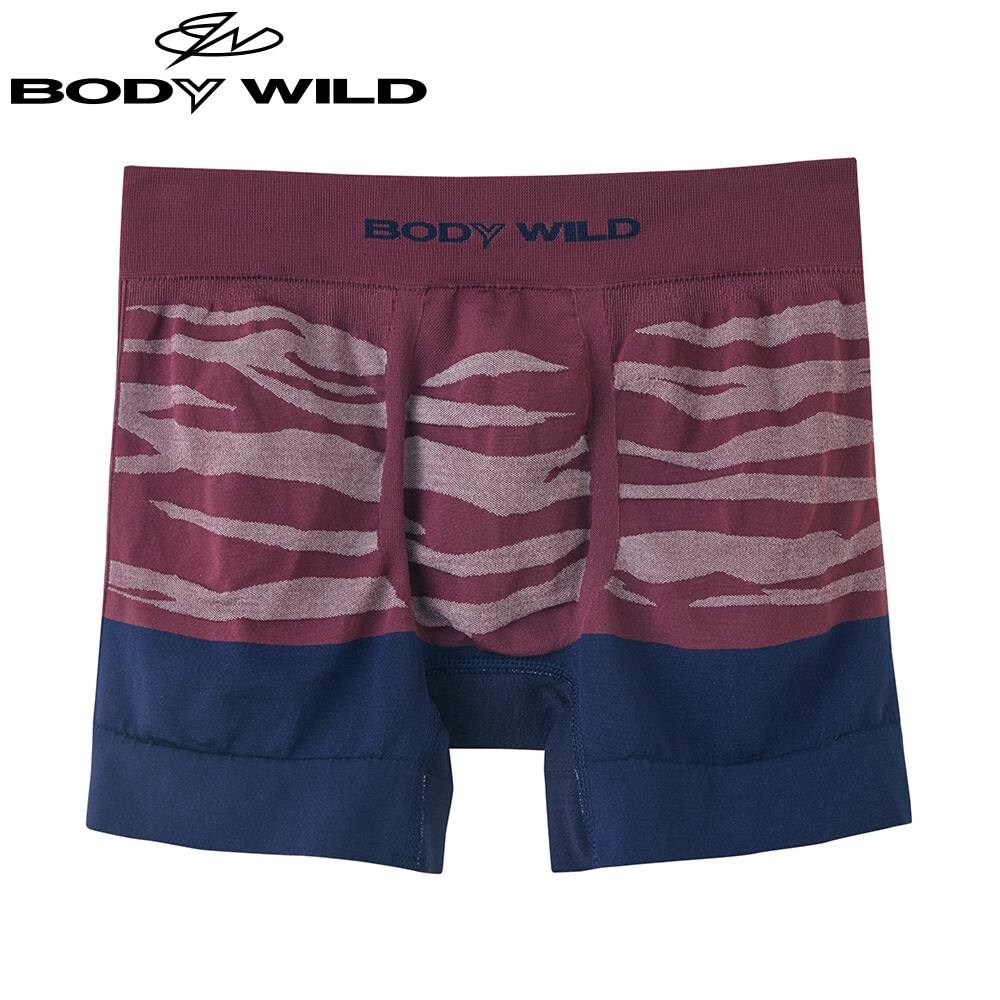 ＜GUNZE グンゼ＞ BODY WILD(ボディワイルド) エアーズボクサー（前とじ）（メンズ） ブルー M