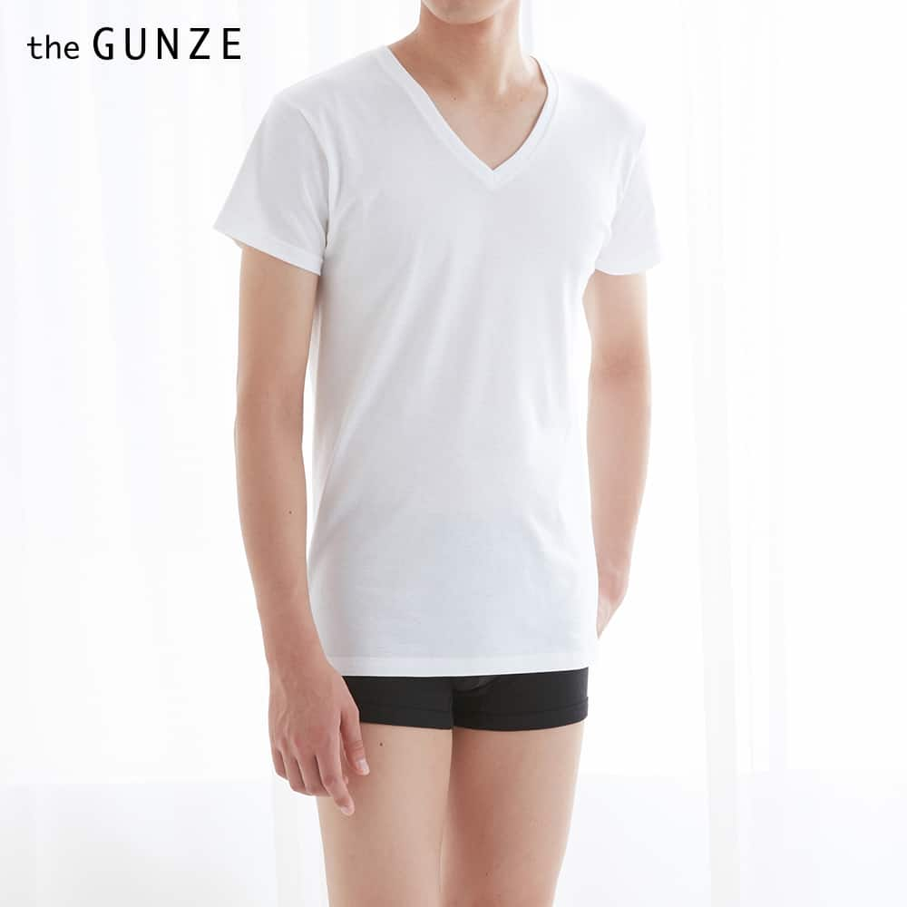 ＜GUNZE グンゼ＞ the GUNZE(ザグンゼ) 【STANDARD】VネックTシャツ(V首)(メンズ)【まとめ買い対象】 スミクロ 3L