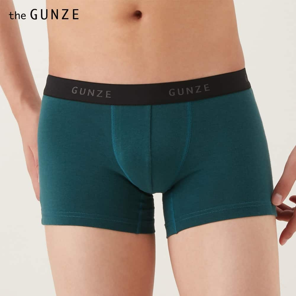 ＜GUNZE グンゼ＞ the GUNZE(ザグンゼ) 【STANDARD】ローライズボクサー(前とじ)(メンズ)【まとめ買い対象】 スミクロ LL