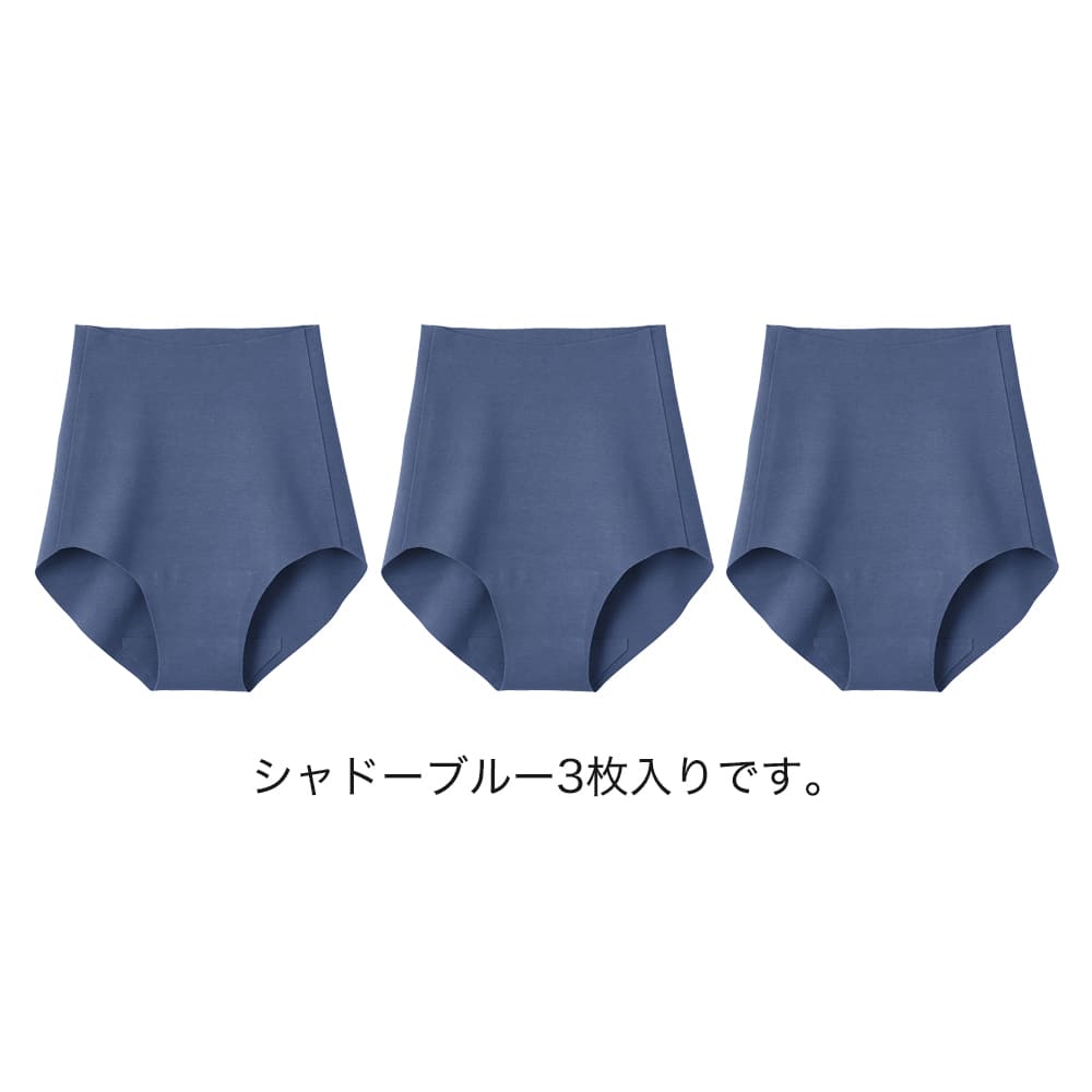 ネット限定お得福袋【完全無縫製 レギュラーショーツ】同色3枚