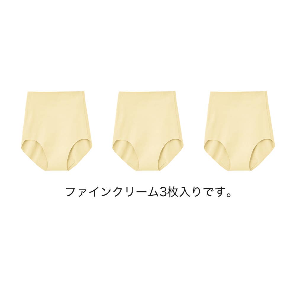 ネット限定お得福袋【完全無縫製　レギュラーショーツ】同色3枚セット FK26L013 ファインクリーム