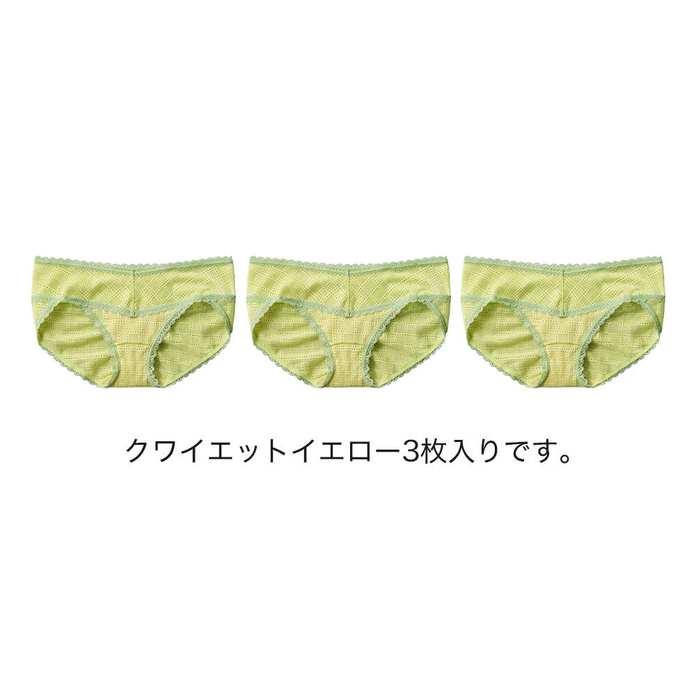 ネット限定お得福袋【総レースショーツ(股上浅め)】同色3枚セット FK26L022 クワイエットイエロー
