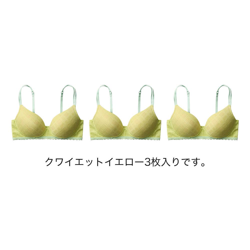 ネット限定お得福袋【ノンワイヤーブラジャー】同色3枚セット FK26L023 クワイエットイエロー