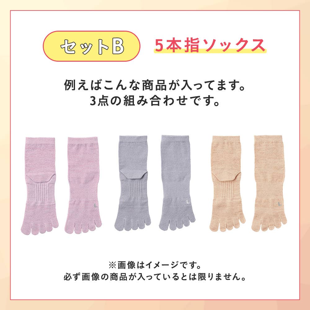 【感謝祭限定】ソックス3~4点セット HB26L005 セットB