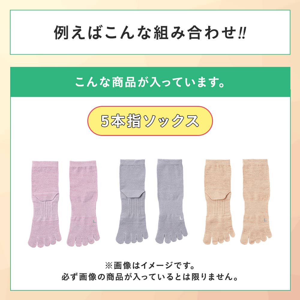 【感謝祭限定】ソックス3~4点セット HB26L005 E2