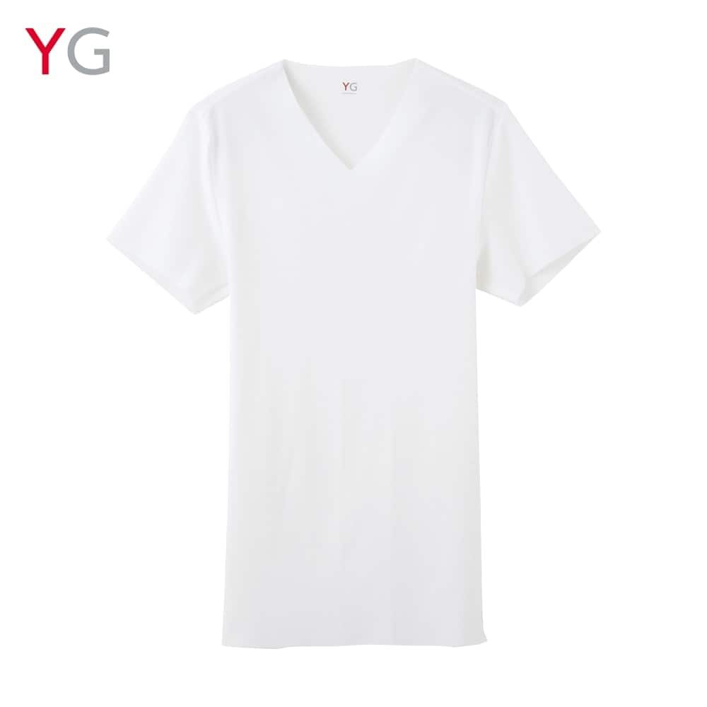 ＜GUNZE グンゼ＞ YG(ワイジー) VネックTシャツ(V首)(メンズ) ホワイト L