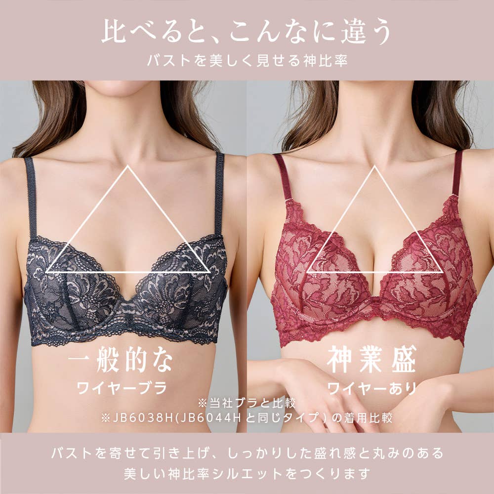 【神業盛】3/4カップワイヤーブラジャー JB6044H E2