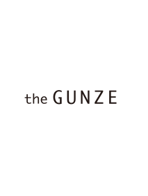 the GUNZE