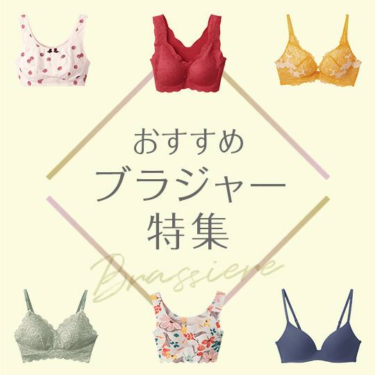 ブラジャー特集