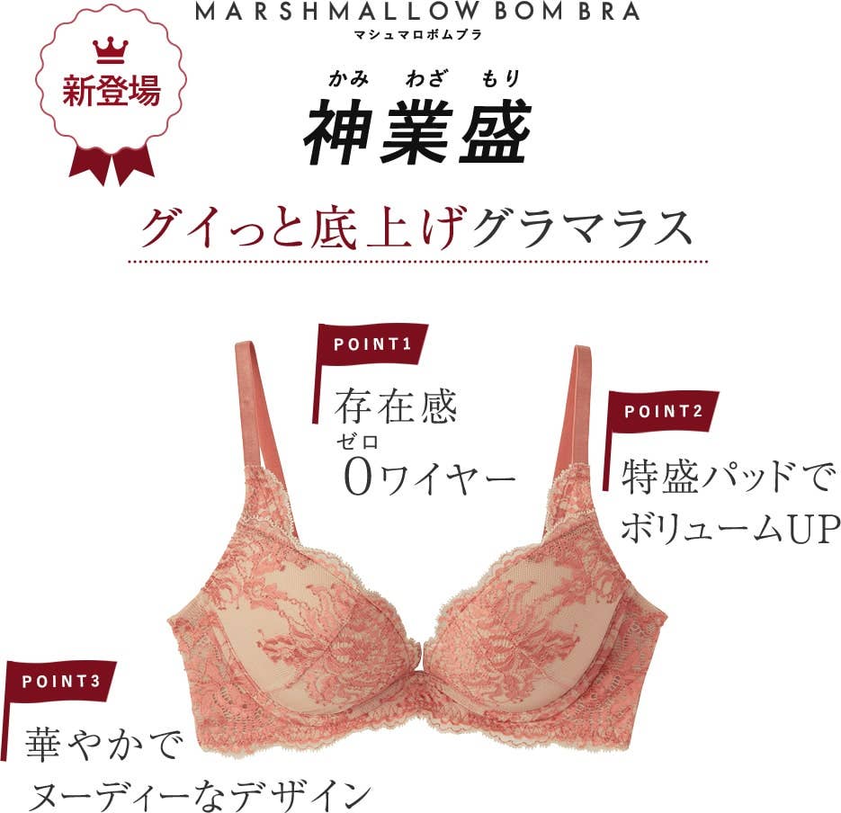 種類やシーンで選べる ブラジャー特集 通販 グンゼ公式