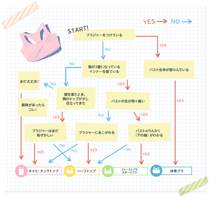 小学生 胸 が 大きく なる 時期