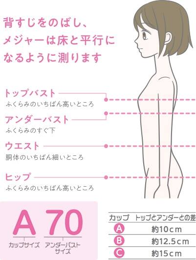 背すじをのばし、メジャーは床と平行になるように測ります/トップバスト ふくらみのいちばん高いところ、アンダーバスト ふくらみのすぐ下、ウエスト 胴体のいちばん細いところ、ヒップ ふくらみのいちばん高いところ